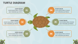 Turtle Diagram - Slide 1