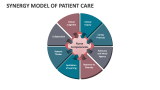 Synergy Model of Patient Care - Slide 2