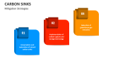 Carbon Sinks Mitigation Strategies - Slide 4