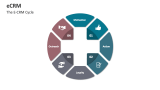 The E-CRM Cycle - Slide 9