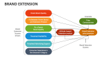 Brand Extension - Slide 8