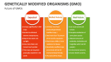Future of Genetically Modified Organisms (GMO) - Slide 10
