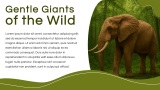 Elephant Presentation Template - Slide 3