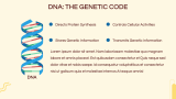 Cell Biology Presentation - Slide 7