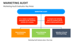 Marketing Audit Evaluates Key Areas - Slide 10